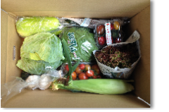 野菜おまかせ詰め合わせセット