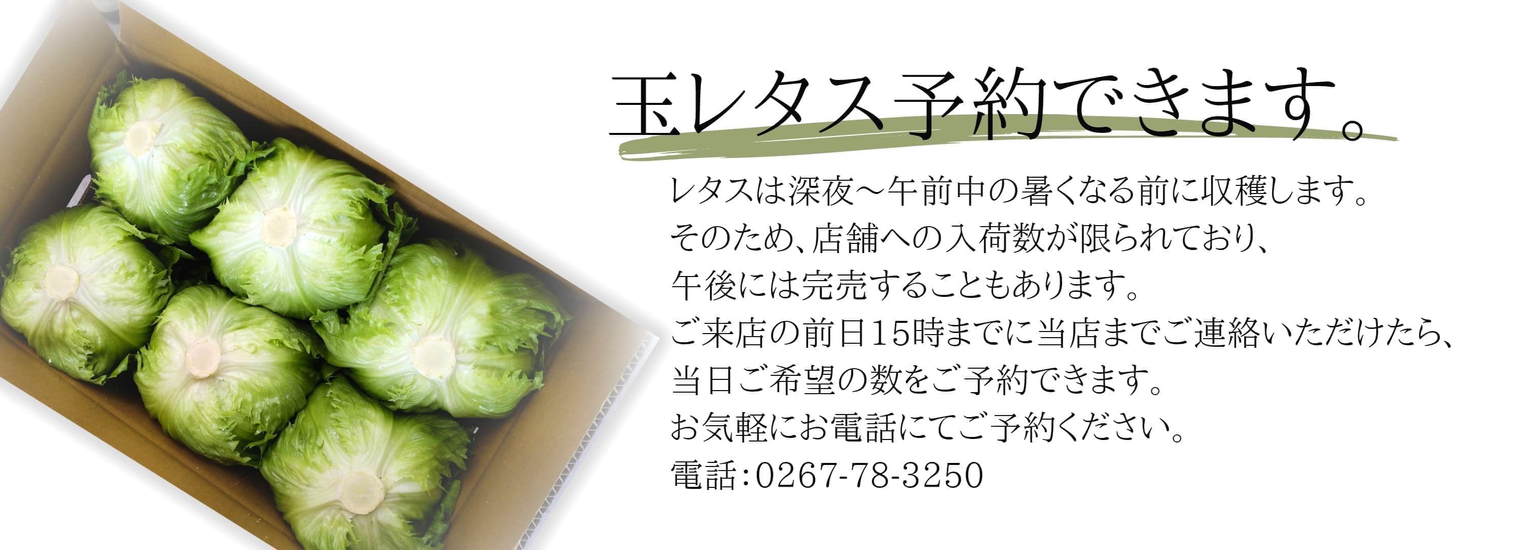 玉レタス予約できます