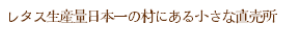 レタス生産量日本一の村にある小さな直売所
